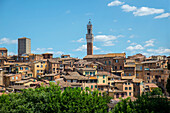 Siena, Tuscany, Italy, Europe