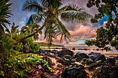 Sunrise under a coconut palm on a calm ocean bay, Kiluea, Hawaii, United States of America, Pacific