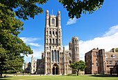Ely Cathedral (Kathedrale der Heiligen und ungeteilten Dreifaltigkeit) von Palace Green, Ely, Cambridgeshire, England, Vereinigtes Königreich, Europa