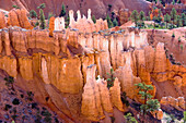 Bryce Canyon, Bryce Canyon National Park, Utah, United States of America, North America