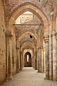 Abtei von San Galgano, Chiusdino, Siena, Toskana, Italien, Europa