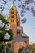 UNESCO Welterbe Dom zu Speyer in der Abenddämmerung, Speyer, Rheinland-Pfalz, Deutschland, Europa