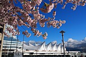 Spring at Place Canada, Vancouver, British Columbia, West Canada