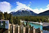 Banff National Park on the Bow Valley Parkway, Alberta, West Canada