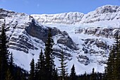 in Banff National Park on the Icefields Parkway in winter, Alberta, West Canada