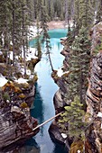 at Athabasca Falls, Icefields Parkway, Jasper National Park, Alberta, Canada West