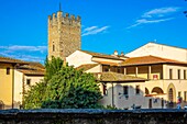 Haus von Francesco Petrarca, Arezzo, Umbrien, Italien, Europa