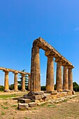 Temple of Hera (Palatine Tables), Bernalda, Matera, Basilicata, Italy, Europe