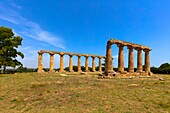 Temple of Hera (Palatine Tables), Bernalda, Matera, Basilicata, Italy, Europe
