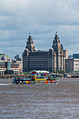The Mersey Ferry in front of the Liver Building, Liverpool, Merseyside, England, United Kingdom, Europe