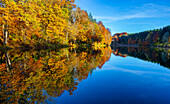 Lake in the autumn forest, autumn, Bavaria, Germany
