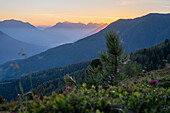 Sonnenaufgang in den Alpen, Krahberg, Berg Venet, liegt am Europäischen Fernwanderweg E5, Zams, Tirol, Österreich