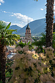 Stadtpfarrkirche St. Nikolaus, Palme, Meran, Südtirol, Alto Adige, Italien