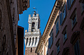 Torre del Mangia am Piazzo del Campo, Unesco-Welterbe, Siena, Toskana, Italien