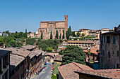 Basilica di San Domenico, 13th century cathedral with relics, UNESCO World Heritage, Siena, Tuscany, Italy