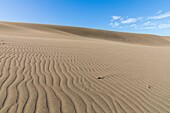 the bani dunes, dunas de bani, las calderas peninsula, dominican republic