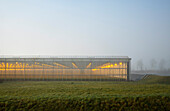 Niederlande, Gelderland, Brakel, beleuchtetes Gewächshaus im Nebelfeld