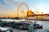 Großbritannien, London, Ausflugsboot auf der Themse und London Eye bei Sonnenuntergang