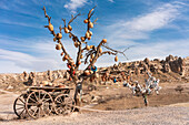 Turkey, Cappadocia, Goreme, Wish tree and cart in barren landscape