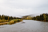 Canada, Yukon, Whitehorse, River and forest on cloudy and foggy day