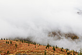 Kanada, Yukon, Whitehorse, Wolken und Nebel über Hügeln