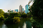 View of Kowloon park with modern skyscrapers