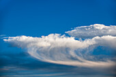 Cirrus floccus Wolkenbildung gegen blauen Himmel