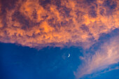 Crescent moon against blue sky with pink and orange clouds
