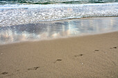 Abdrücke und Meereswelle am Sandstrand