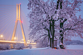 Poland, Subcarpathia, Rzeszow, Suspension bridge at night in winter