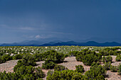 USA, New Mexico, Cerrillos, Desert landscape during monsoon season
