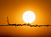 Sun setting against orange sky with silhouette of barbed wire in foreground