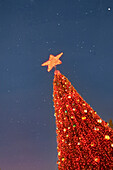 Tiefwinkelansicht des roten Weihnachtsbaums gegen den nächtlichen Himmel