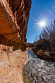 USA, Utah, Escalante, Sandstone cliff along Escalante River in Grand Staircase-Escalante National Monument