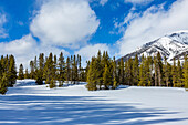 USA, Idaho, Sun Valley, Mountain and trees in winter
