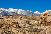 USA, California, Lone Pine, Alabama Hills rock formations and snowcapped Mount Whitney in Sierra Nevada Mountains