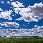 USA, Idaho, Bellevue, flauschige Wolken am Himmel über dem Feld in der Nähe von Sun Valley