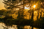 USA, Idaho, Bellevue, Sun shining though trees by pond