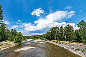 USA, Idaho, Bellevue, River, forest and blue sky in summer