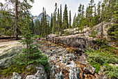 USA, Idaho, Stanley, Creek in forest in Sawtooth Mountains