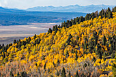 USA, Idaho, Stanley, Herbstlaub in den Bergen in der Nähe von Sun Valley