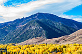 USA, Idaho, Ketchum, bewaldete Hügel im Herbst