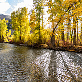 USA, Idaho, Hailey, Fluss und gelbe Bäume im Herbst