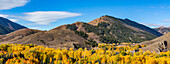 USA, Idaho, Ketchum, Forested hills in Autumn