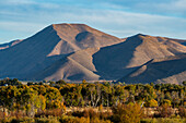 USA, Idaho, Bellevue, Forest and mountains in Autumn