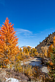 USA, Idaho, Ketchum, Fall foliage in mountains near Sun Valley