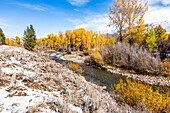 USA, Idaho, Ketchum, Fall foliage in mountains near Sun Valley