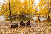 USA, Idaho, Bellevue, Two adirondack chairs facing Big Wood River surrounded with yellow Autumn trees
