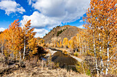 USA, Idaho, Ketchum, Herbstlandschaft an einem sonnigen Tag