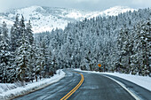 USA, Idaho, Ketchum, Straße durch den verschneiten Wald